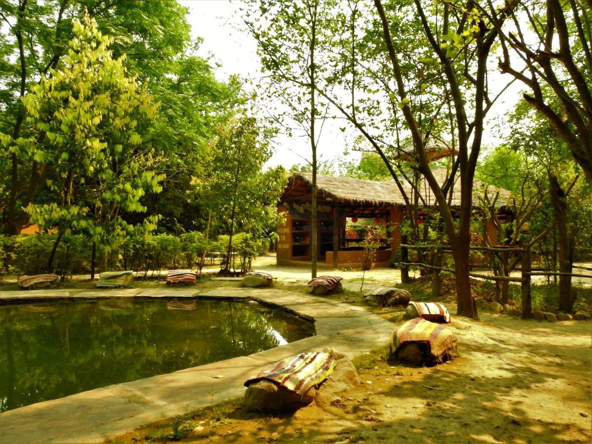 Camp Hornbill Corbett Hotel Ramnagar  Exterior photo